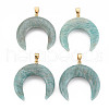 Natural Amazonite Pendants G-N326-110-1