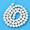 Rainbow Plated Shell Pearl Bead Strands BSHE-L025-02-10mm-2