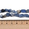 Natural Kyanite Beads Strands G-Q060-D17-5
