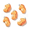 Opaque Resin Pendants X-RESI-G043-E03-1