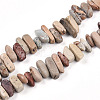 Natural Aqua Terra Jasper Beads Strands G-T140-64-4