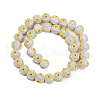 Handmade Lampwork Enamel Beads LAMP-R004-05F-2