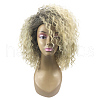 Fashion Ombre Ladies Wigs OHAR-L010-049-2