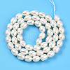 Natural Cultured Freshwater Pearl Beads Strands PEAR-N012-05Z-01-3