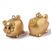 Resin Pendants RESI-R426-07-3