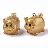 Resin Pendants RESI-R426-07-2