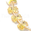 Electroplate Glass Beads EGLA-F163-01-HP02-3