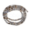 Natural Labradorite Beads Strands G-RM2025-C34-A-3