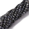 Natural Iolite Beads Strands G-RM25324-01-1