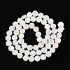 Electroplated Natural Freshwater Shell Beads Strands SSHEL-T017-31-2