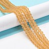 Transparent Glass Beads Strands EGLA-A034-T4mm-MD23-2