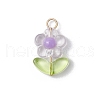 Transparent Acrylic Pendants PALLOY-JF03713-02-3