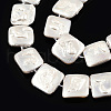 Plating Natural Freshwater Shell Beads Strands SHEL-N026-230B-3