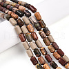 Natural Picasso Jasper/Polychrome Jasper Beads Strands G-N346-01B-05-1