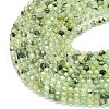 Natural Prehnite Beads Strands G-A260-A34-01-3