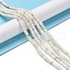 Natural Howlite Beads Strands X-G-E604-A01-B-2