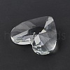 Transparent Glass Big Pendants GLAA-F118-04-3