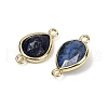 Dyed Natural Lapis Lazuli Faceted Connector Charms G-L514-048P-11-2