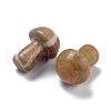 Natural Picture Jasper Mushroom Gua Sha Stone G-L570-A12-3