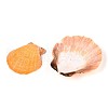 Natural Scallop Shell Beads SSHEL-N040-04-2