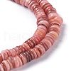 Natural Freshwater Shell Beads Strands X-BSHE-I016-04E-3