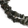 Natural Green Rutilated Quartz Beads Strands G-Q060-C03-4
