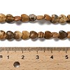 Natural Picture Jasper Beads Strands G-P575-C08-6mm-5