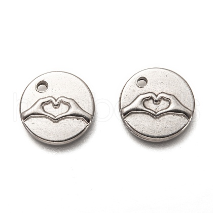 Non-Tarnish 304 Stainless Steel ASL Charms X-STAS-L260-006P-1