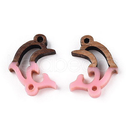 Opaque Resin & Walnut Wood Connector Charms RESI-N039-46F-1
