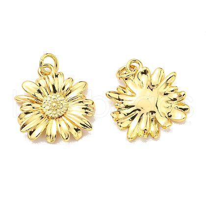 Rack Plating Brass Pendants KK-D026-11G-1