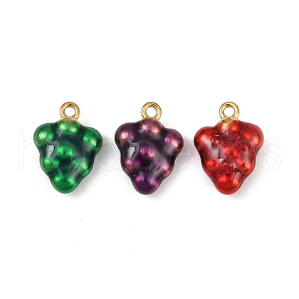 304 Stainless Steel Enamel Charms STAS-Z140-16G-1