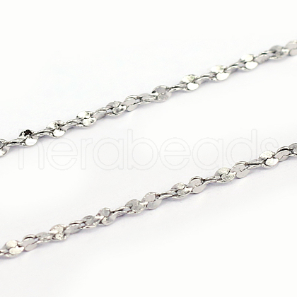 Tarnish Resistant 304 Stainless Steel Chains CHS-L001-170-0.4mm-1