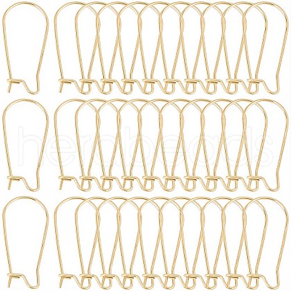 SOFPLATE 120Pcs 304 Stainless Steel Hoop Earrings STAS-SP0001-29-1