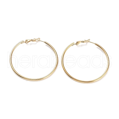 Ring 304 Stainless Steel Hoop Earrings for Women Men EJEW-B049-02E-G-1