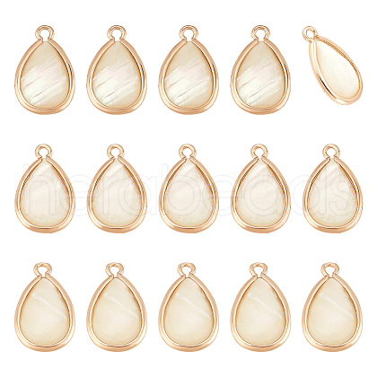   16Pcs Natural Paua Shell & Brass Teardrop Charms FIND-PH0022-59-1