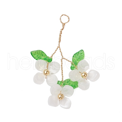 Plastic with Acrylic & Copper Wire Pendants PALLOY-JF03601-03-1