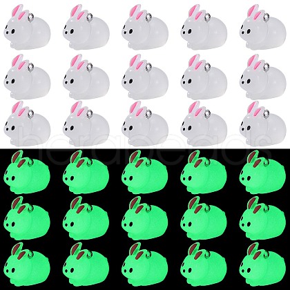 30Pcs Luminous Translucent Resin Pendants RESI-SZ0003-34-1