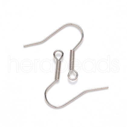Tarnish Resistant 304 Stainless Steel Earring Hooks STAS-S111-008-1