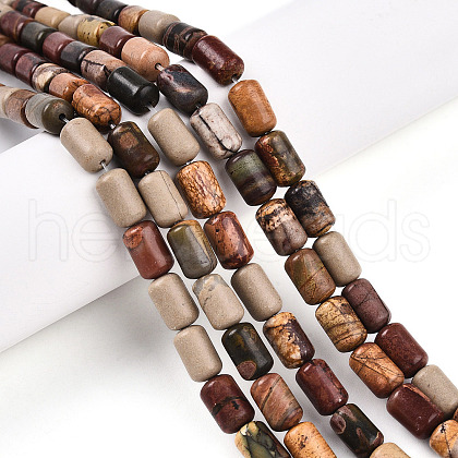 Natural Picasso Jasper/Polychrome Jasper Beads Strands G-N346-01B-05-1