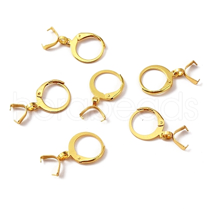 304 Stainless Steel Leverback Earring Finding STAS-WH0022-87G-1