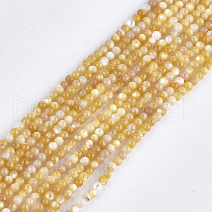 Yellow Shell Beads Strands SHEL-S274-93A-1
