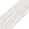 Natural Rainbow Moonstone Beads Strands G-I353-04-5