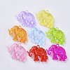 Transparent Acrylic Pendants TACR-T012-02-1