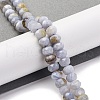 Natural Blue Lace Agate Beads Strands G-K380-A33-04-1