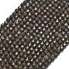 Natural Red Snowflake Obsidian Beads Strands G-A260-A14-01-2