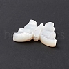 Natural White Shell Beads BSHE-G031-04-4