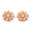 Resin Cabochon CRES-B3259-A80-1