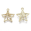 Alloy Pendants PALLOY-S132-104-2