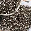 Glass Seed Beads X1-SEED-S042-04A-09-1