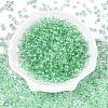 Baking Paint Electroplate Transparent Glass Seed Beads SEED-N006-07D-2